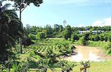 ศูนย์ศึกษาการพัฒนาเขาหินซ้อนฯ