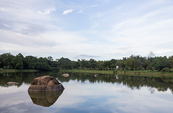 ข่าว ศูนย์ศึกษาการพัฒนาเขาหินซ้อนฯ