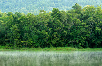 ข่าว ศูนย์ศึกษาการพัฒนาห้วยฮ่องไคร้ฯ