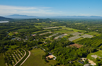 ข่าว ศูนย์ศึกษาการพัฒนาพิกุลทองฯ