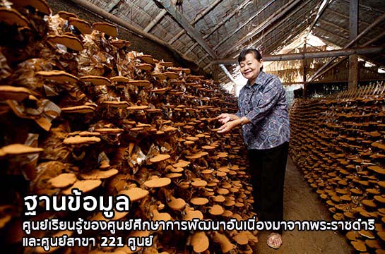 ฐานข้อมูลศูนย์เรียนรู้ของศูนย์ศึกษาการพัฒนาฯ และศูนย์สาขา 221 ศูนย์