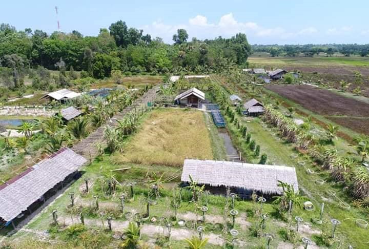 โครงการศูนย์ศึกษาการพัฒนาพิกุลทองอันเนื่องมาจากพระราชดำริ  บ้านพิกุลทอง หมู่ที่ ๖ ตำบลกะลุวอเหนือ อำเภอเมืองนราธิวาส  จังหวัดนราธิวาส 