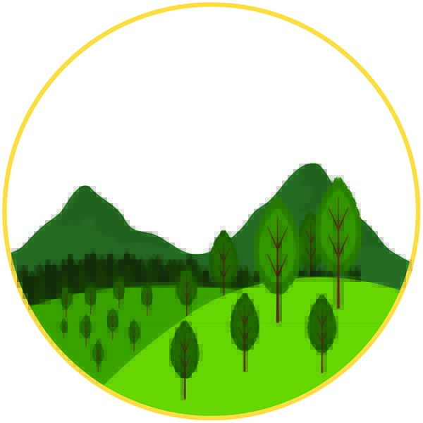 องค์ความรู้ด้านป่าไม้