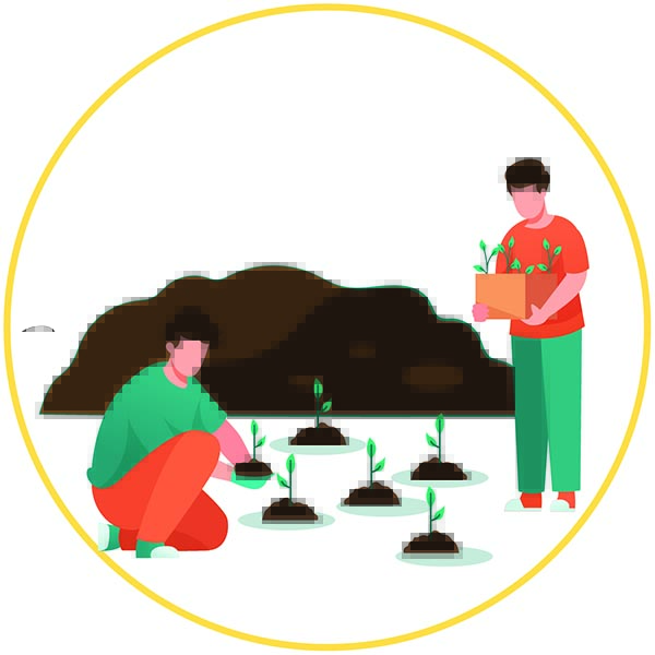 องค์ความรู้ด้านดิน