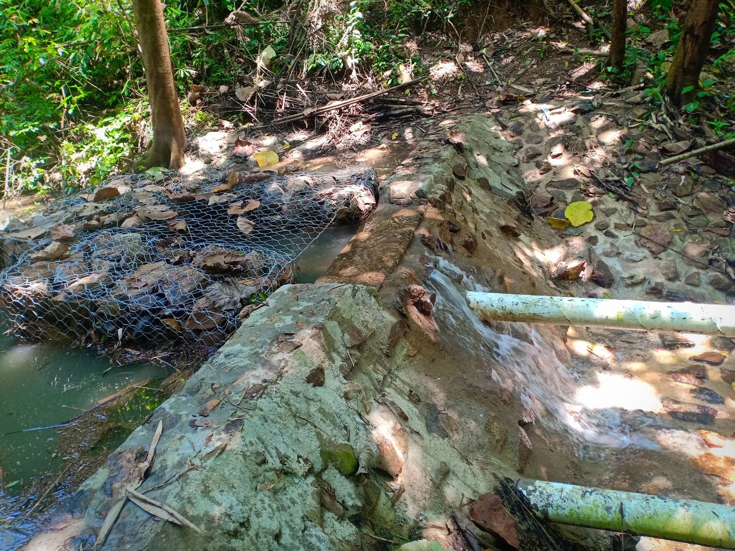 จัดหาน้ำสนับสนุนโรงเรียนตำรวจตระเวนชายแดนปิล๊อกคี่ อันเนื่องมาจากพระราชดำริ ตำบลปิล๊อกคี่ อำเภอทองผาภูมิ จังหวัดกาญจนบุรี