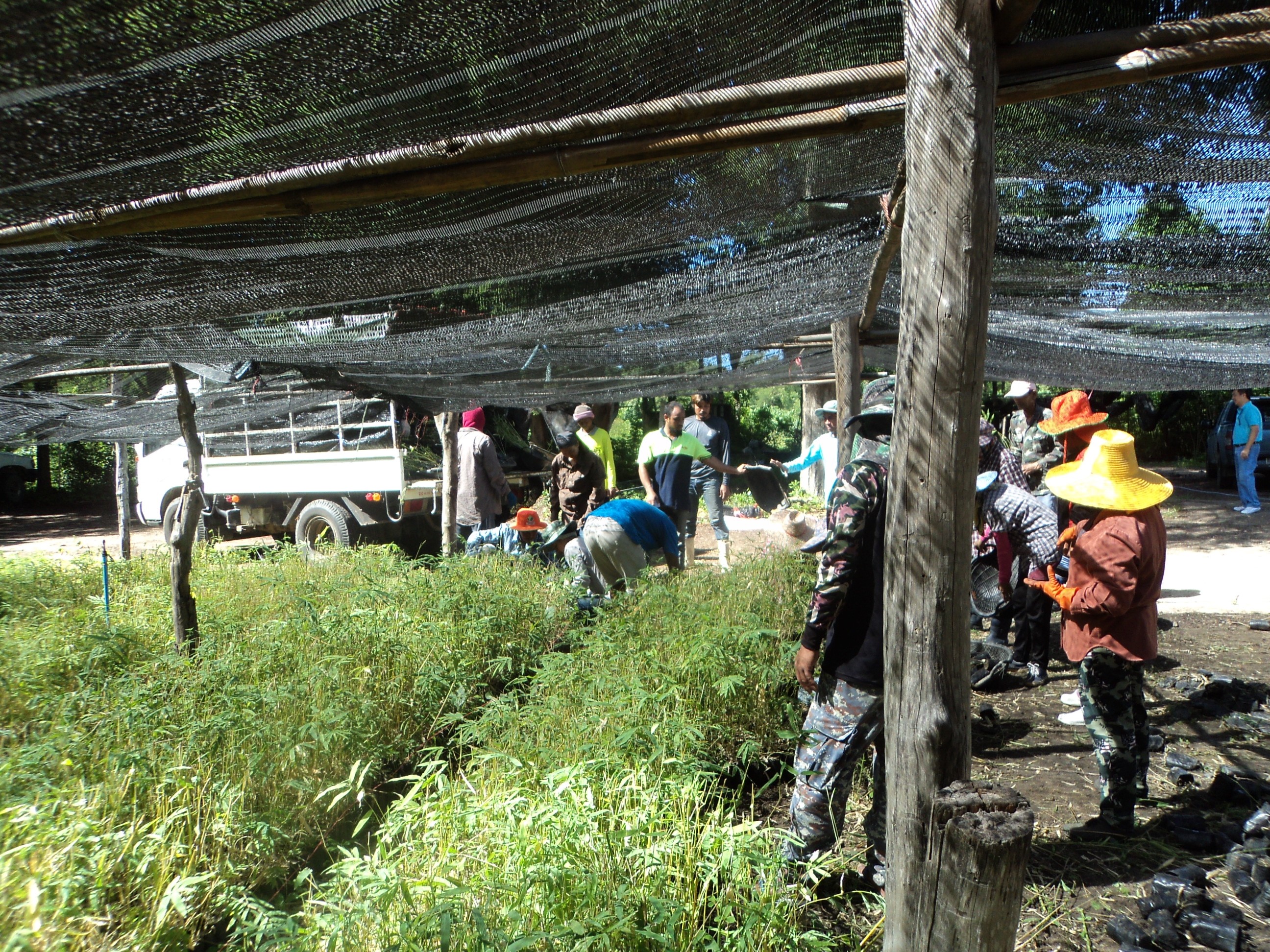 โครงการแก้ไขปัญหาช้างป่าตามแนวพระราชดำริห้วยสัตว์ใหญ่ ตำบลห้วยสัตว์ใหญ่ อำเภอหัวหิน จังหวัดประจวบคีรีขันธ์