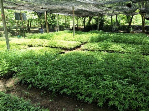 โครงการแก้ไขปัญหาช้างป่าอุทยานแห่งชาติแก่งกระจาน อันเนื่องมาจากพระราชดำริ ตำบลห้วยแม่เพรียง อำเภอแก่งกระจาน  จังหวัดเพชรบุรี