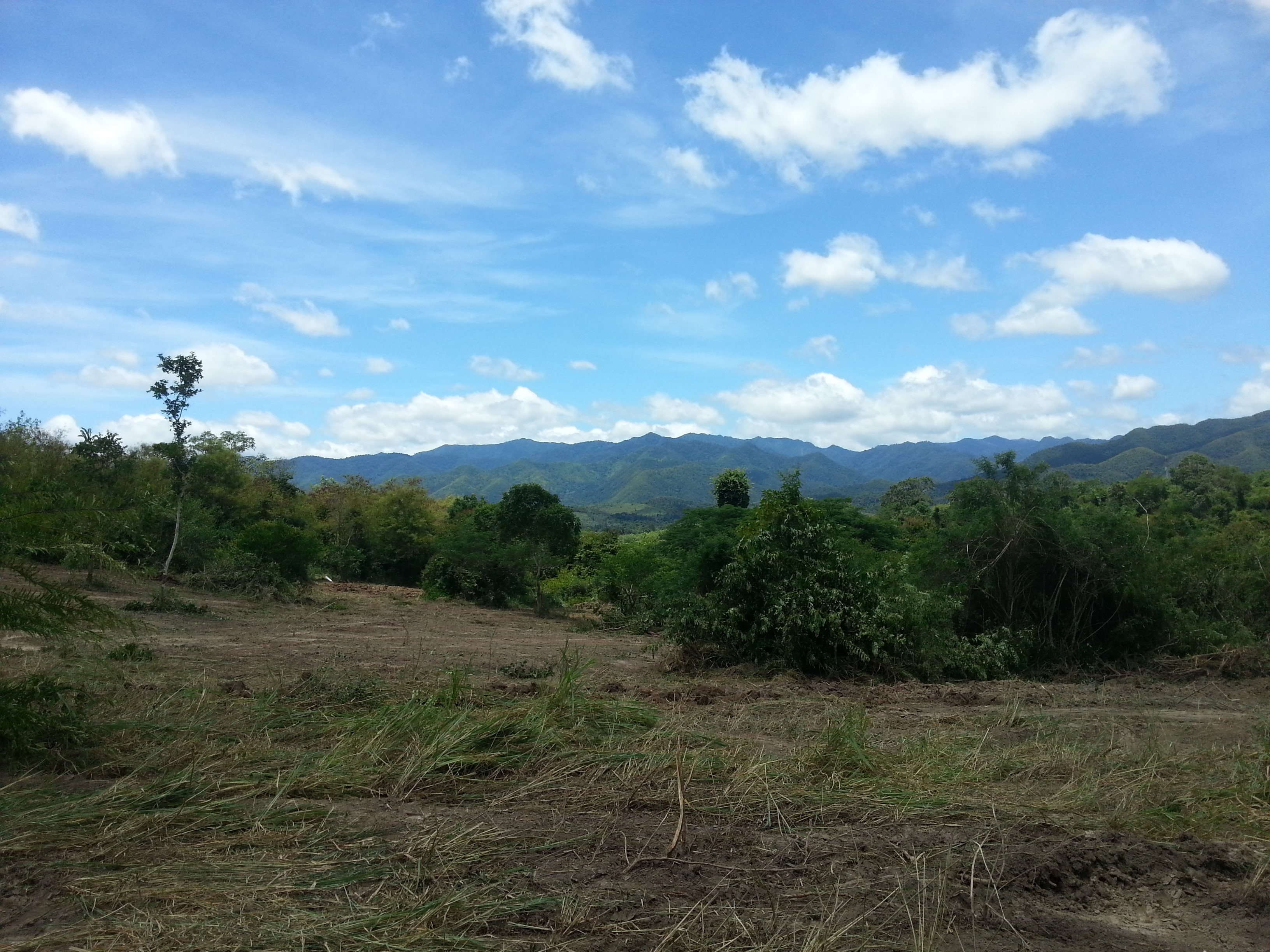 โครงการแก้ไขปัญหาช้างป่าตามแนวพระราชดำริบ้านป่าเด็ง ตำบลป่าเด็ง อำเภอแก่งกระจาน จังหวัดเพชรบุรี