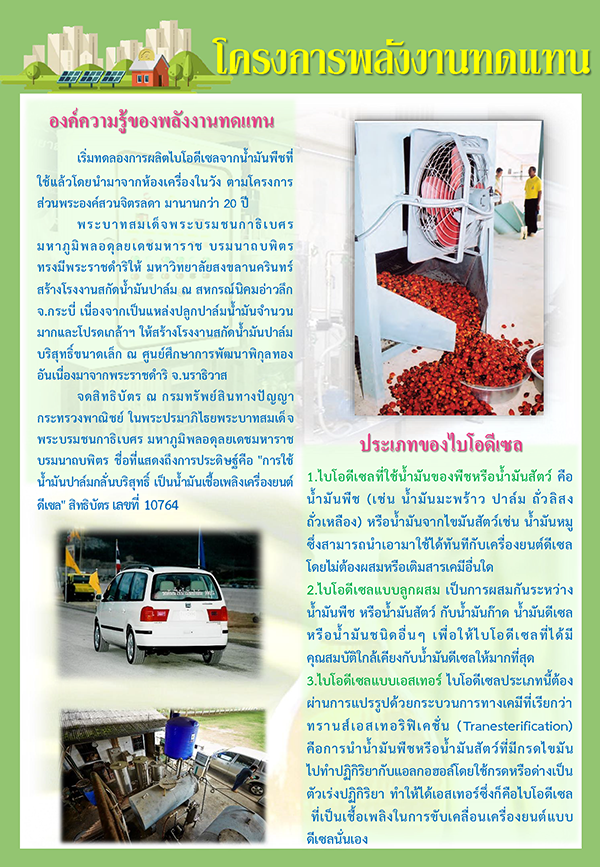 โครงการพลังงานทดแทน