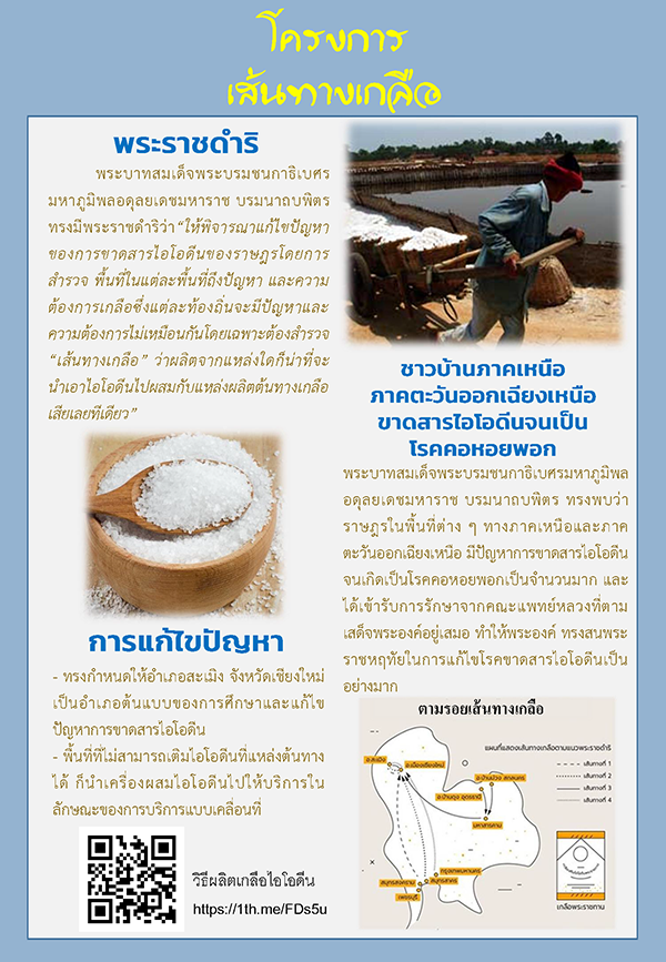 โครงการเส้นทางเกลือ