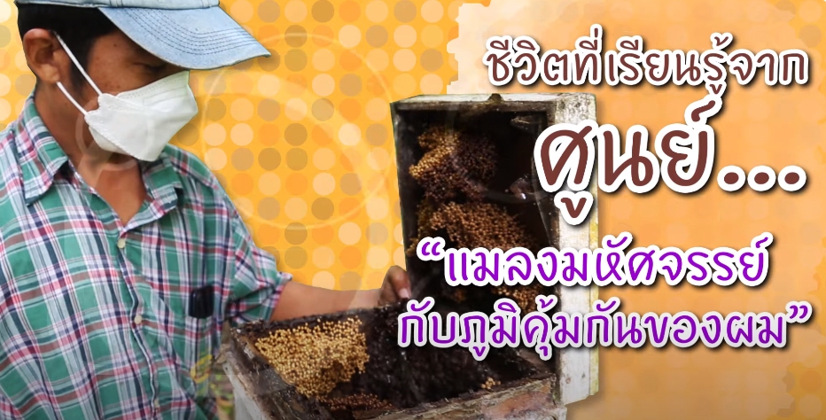 ปี 2564 : ชีวิตที่เรียนรู้จากศูนย์ ตอนที่ 6 _แมลงมหัศจรรย์และภูมิคุ้มกันของผม