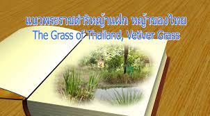 สารคดีเชิงข่าว ปี 2564 : ตอนที่ 36  เที่ยวตามรอยพ่อ