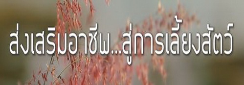 Ep21 ส่งเสริมอาชีพสู่การเลี้ยงสัตว์