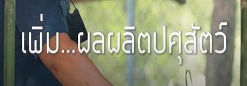 Ep23 เพิ่มผลผลิตปศุสัตว์