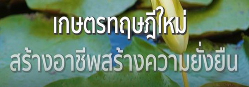 Ep29 เกษตรทฤษฎีใหม่ สร้างอาชีพสร้างความยั่งยืน