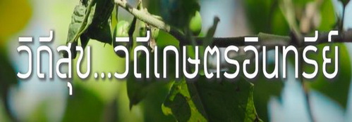 Ep35 วิถีสุขวิถีเกษตรอินทรีย์