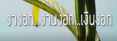 Ep36 งางอกงานงอกเงินงอก