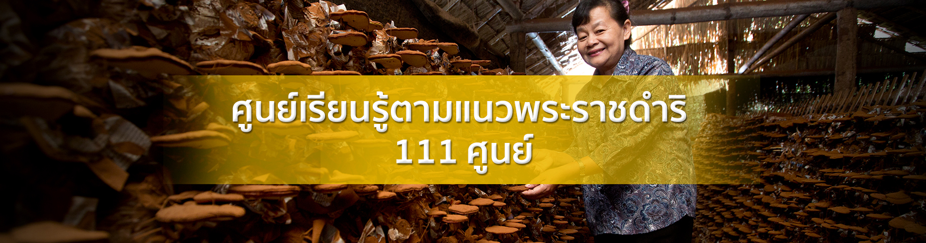 ชุดข้อมูลศูนย์เรียนรู้ตามแนวพระราชดำริ