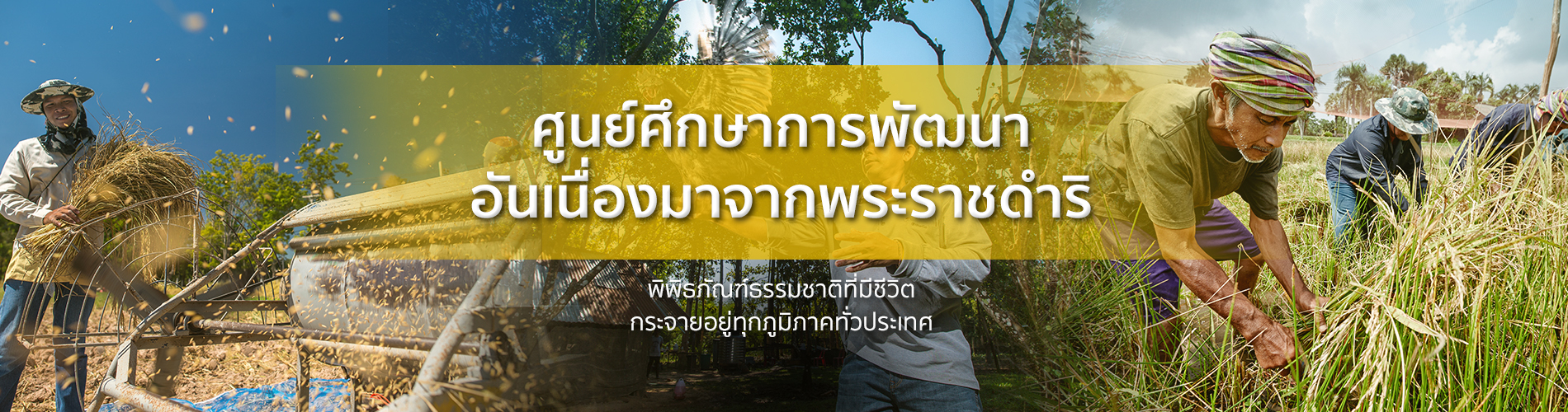 ชุดข้อมูลประชาชนที่รับประโยชน์จากศูนย์ศึกษาการพัฒนาอันเนื่องมาจากพระราชดำริ