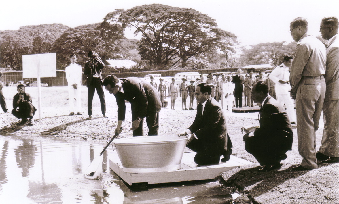 พระราชกรณียกิจในด้านต่างๆ 