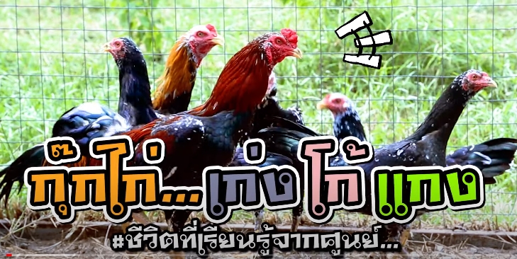 ปี 2566 : ชีวิตที่เรียนรู้จากศูนย์ EP.1 กุ๊กไก่ เก่ง โก้ แกง