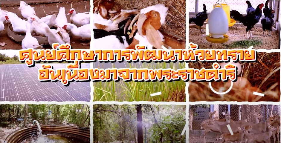 ยิ่งเที่ยวยิ่งได้ความรู้...ที่ห้วยทราย