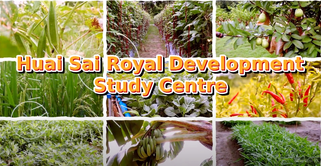 ศูนย์ศึกษาการพัฒนาห้วยทรายอันเนื่องมาจากพระราชดำริ จ.เพชรบุรี (ฉบับภาษาอังกฤษ)