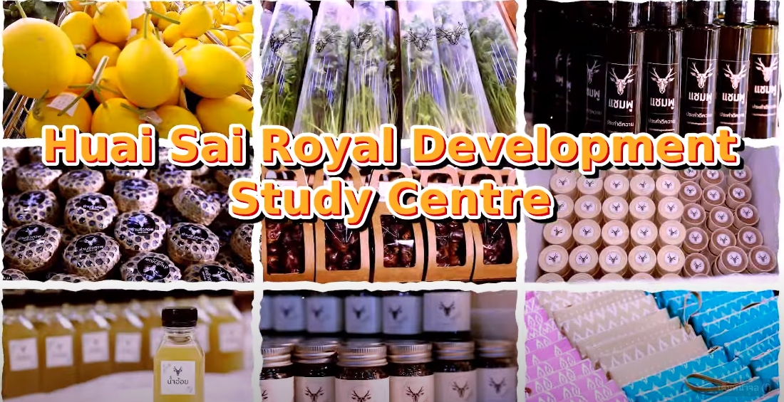 ศูนย์ศึกษาการพัฒนาห้วยทรายอันเนื่องมาจากพระราชดำริ จ.เพชรบุรี (ฉบับภาษาจีน)