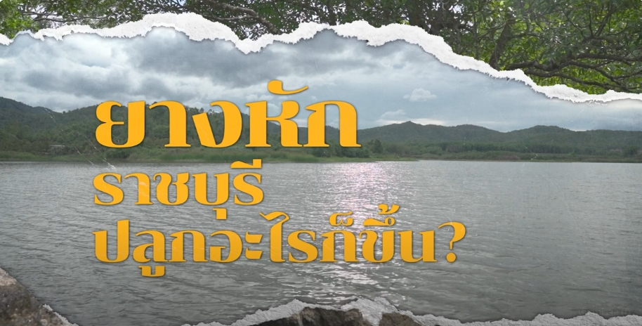 ความสุขของแผ่นดิน ปี 2567 ตอน 3 ปลูกความสุขที่ยั่งยืน ณ ยางหัก จ.ราชบุรี