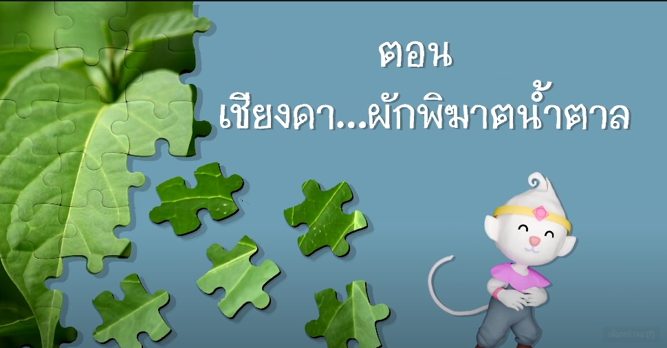 ปี 2567 : ชีวิตที่เรียนรู้จากศูนย์ EP.1 เชียงดา ผักพิฆาตน้ำตาล