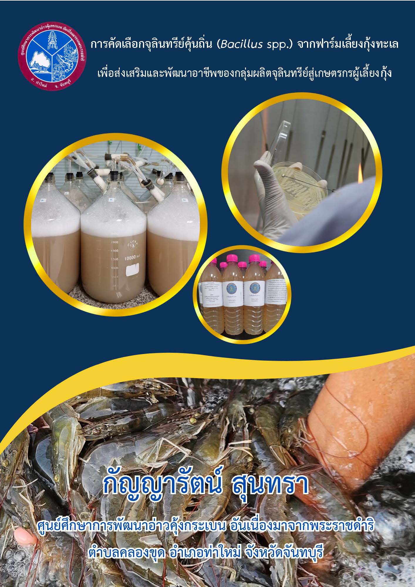 การคัดเลือกจุลินทรีย์คุ้นถิ่น (ฺBacillus spp.) จากฟาร์มเลี้ยงกุ้งทะเลเพื่อส่งเสริมและพัฒนาอาชีพของกลุ่มผลิตจุลินทรีย์สู่เกษตรกรผู้เลี้ยงกุ้ง