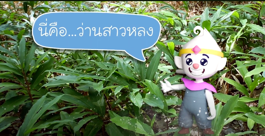 ปี 2567 : ชีวิตที่เรียนรู้จากศูนย์ EP.5 ว่านสาวหลง