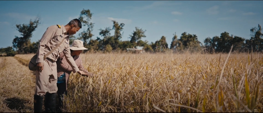 ภาพยนตร์สั้นเฉลิมพระเกียรติพระบาทสมเด็จพระเจ้าอยู่หัว 72 พรรษา ตอน  ผู้หวังดี