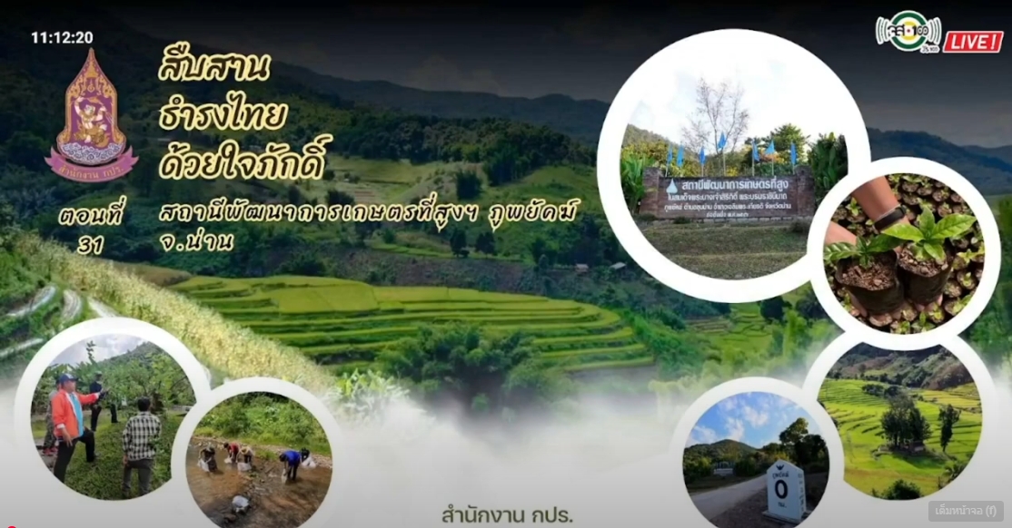 ปี 2567 : รายการ สืบสาน ธำรงไทย ด้วยใจภักดิ์ ตอนที่ 31 สถานีพัฒนาการเกษตรที่สูงฯ ภูพยัคฆ์ จ.น่าน