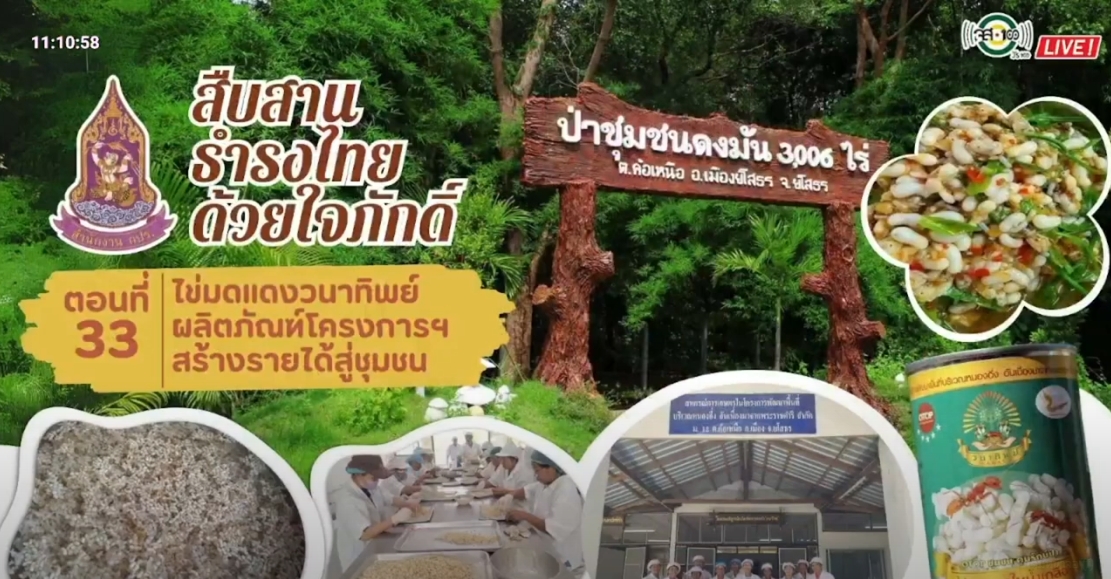 ปี 2567 : รายการ สืบสาน ธำรงไทย ด้วยใจภักดิ์ ตอนที่ 33 ไข่มดแดงวนาทิพย์ ผลิตภัณฑ์โครงการฯ สร้างรายได้สู่ชุมชน