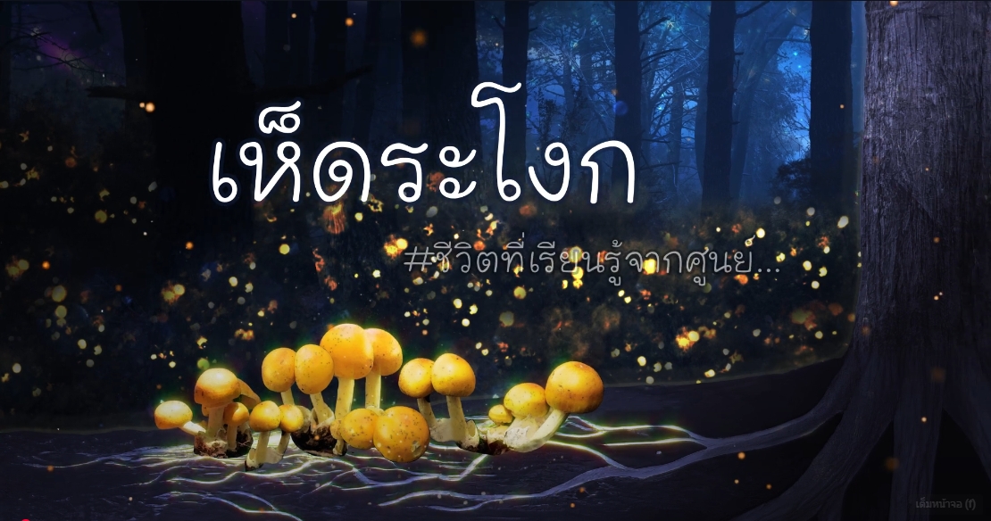 ปี 2567 : ชีวิตที่เรียนรู้จากศูนย์ EP.6 เห็ดระโงก