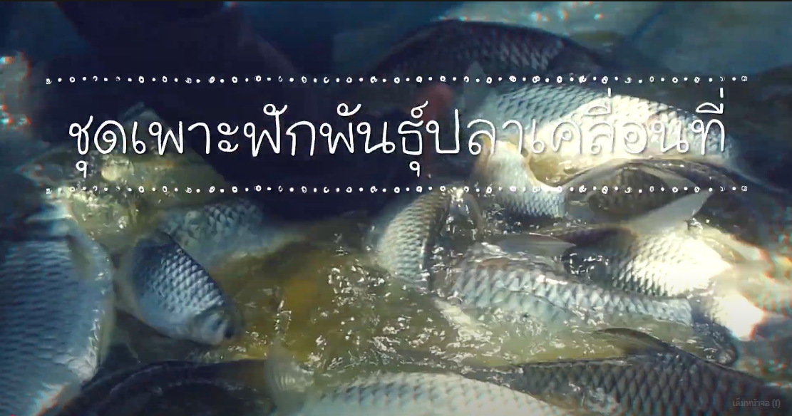 ปี 2567 : ชีวิตที่เรียนรู้จากศูนย์ EP.7 ชุดเพาะฟักพันธุ์ปลาเคลื่อนที่