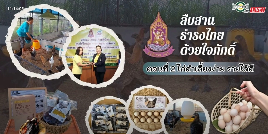 ปี 2568 : รายการวิทยุ สืบสาน ธำรงไทย ด้วยใจภักดิ์ ตอนที่ 2 ไก่ดำเลี้ยงง่าย รายได้ดี
