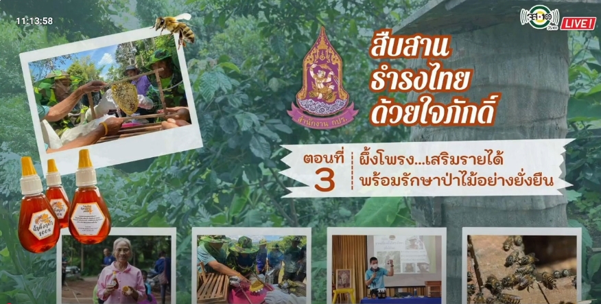 ปี 2568 : รายการวิทยุ สืบสาน ธำรงไทย ด้วยใจภักดิ์ ตอนที่ 3 ผึ้งโพรง…เสริมรายได้ พร้อมรักษาป่าไม้อย่างยั่งยืน