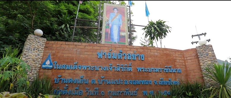 สารคดีเชิงข่าว สืบสาน สร้างสุขปวงประชา ปี 2568 ตอนที่ 32 โครงการฟาร์มตัวอย่างในสมเด็จพระนางเจ้าสิริกิติ์ พระบรมราชินีนาถ พระบรมราชชนนีพันปีหลวง บ้านดงเย็น