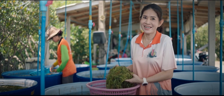สารคดีเชิงข่าว สืบสาน สร้างสุขปวงประชา ปี 2568 ตอนที่ 33  ฟาร์มทะเลตัวอย่างในสมเด็จพระนางเจ้าสิริกิติ์ พระบรมราชินีนาถ พระบรมราชชนนีพันปีหลวง จังหวัดเพชรบุรี