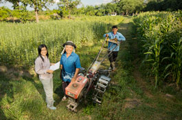 สวัสดิการสังคม/การศึกษา