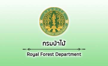 กรมป่าไม้
