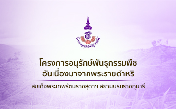 โครงการอนุรักษ์พันธุกรรมพืชฯ