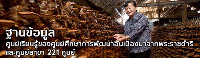 ฐานข้อมูลศูนย์เรียนรู้ของศูนย์ศึกษาการพัฒนาฯ และศูนย์สาขา 221 ศูนย์