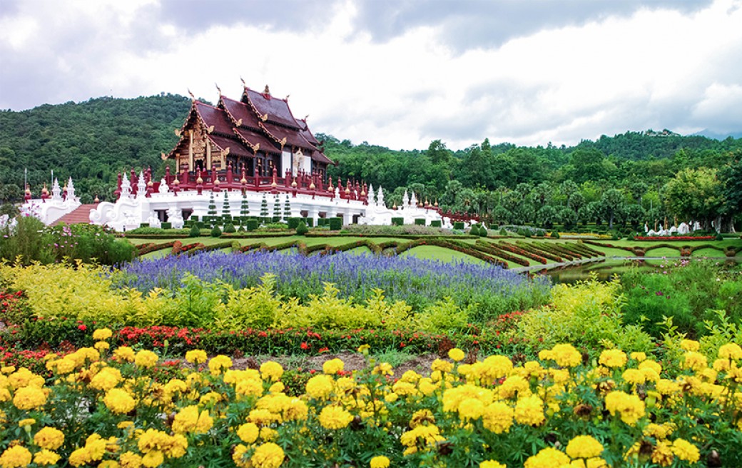 สวนเฉลิมพระเกียรติฯ ราชพฤกษ์ 2549