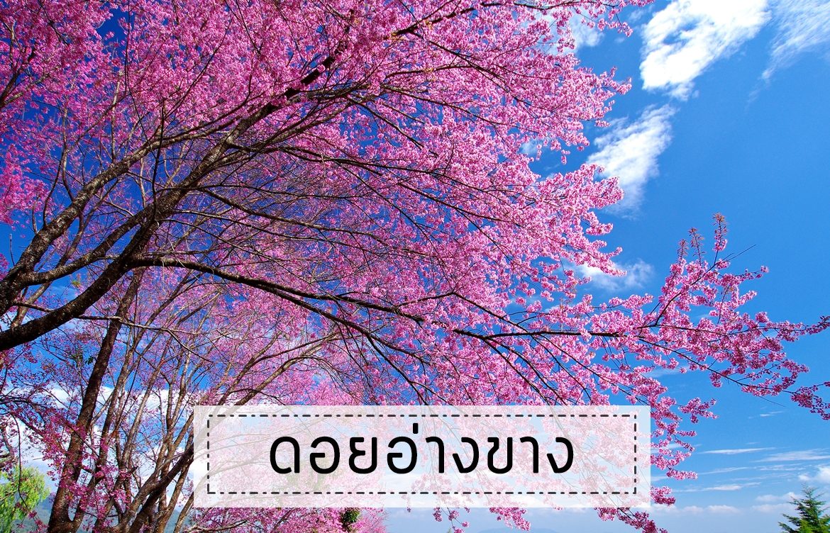 Angkhang Royal Agricultural Station, Chiang Mai