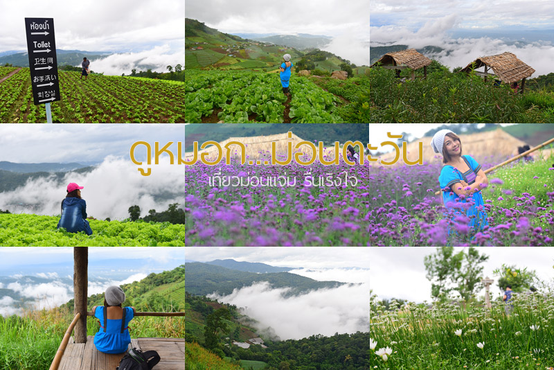 โครงการหลวงม่อนแจ่ม  จังหวัดเชียงใหม่