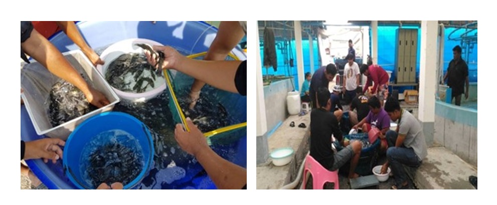 โครงการฟาร์มทะเลตัวอย่างแบบผสมผสานตามพระราชดำริ ในสมเด็จพระนางเจ้าสิริกิติ์ พระบรมราชินีนาถ ตำบลบางแก้ว อำเภอบ้านแหลม จังหวัดเพชรบุรี