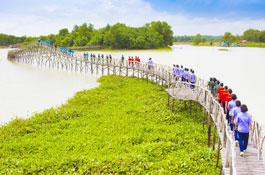 โครงการพัฒนาด้านสิ่งแวดล้อม